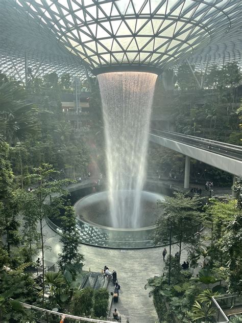 Ultimate Guide of Terminal 3 Changi Airport: 